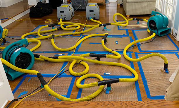 Professional Water Damage Restoration technician working in Travis Afb, CA